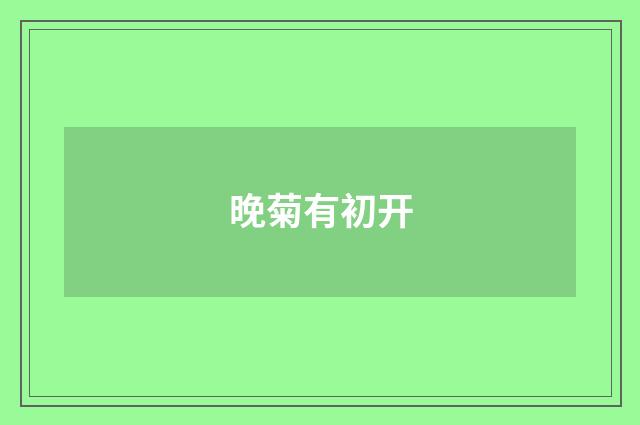 晚菊有初开