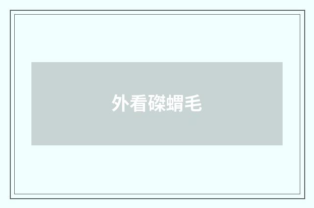 外看磔蝟毛