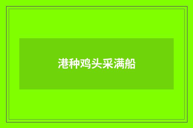 港种鸡头采满船