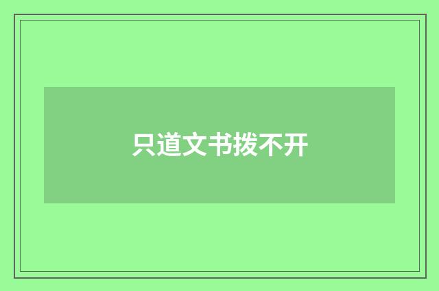 只道文书拨不开