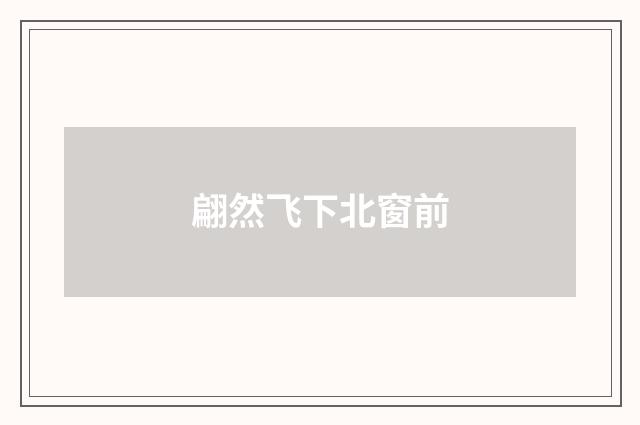 翩然飞下北窗前