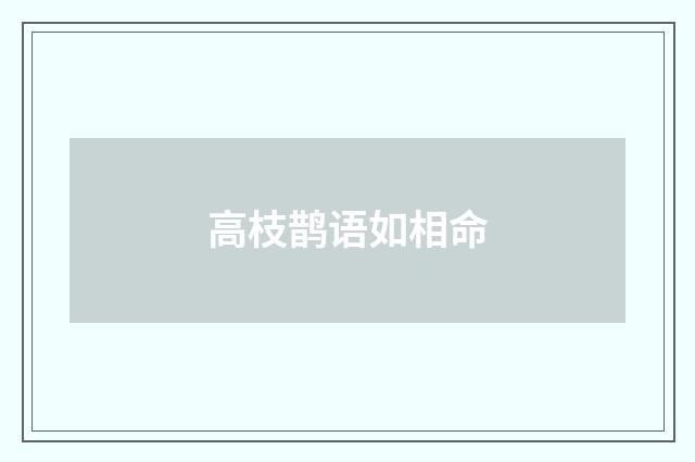 高枝鹊语如相命