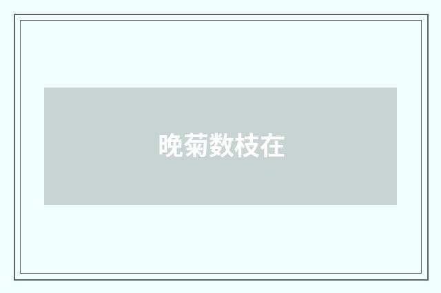 晚菊数枝在