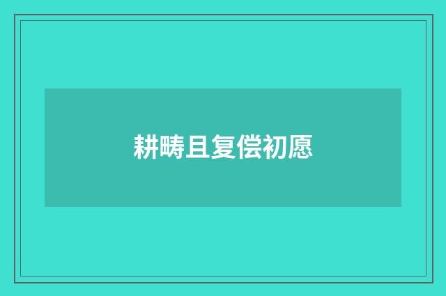 耕畴且复偿初愿