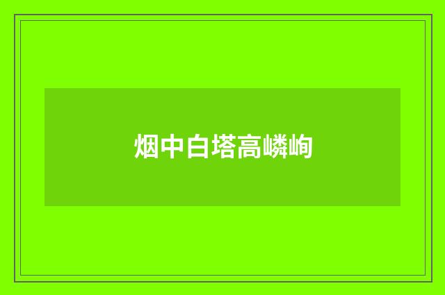 烟中白塔高嶙峋