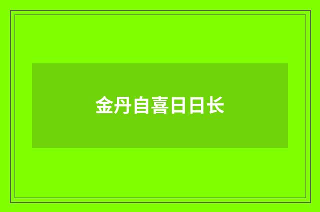 金丹自喜日日长