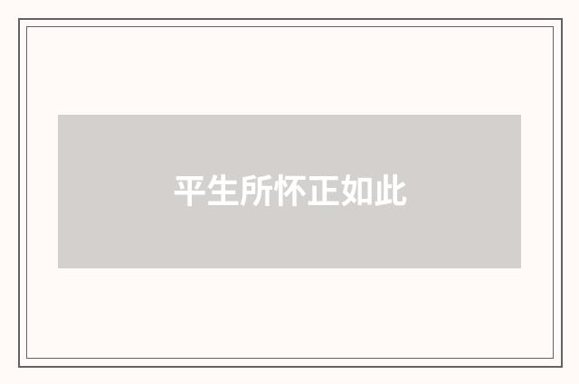 平生所怀正如此