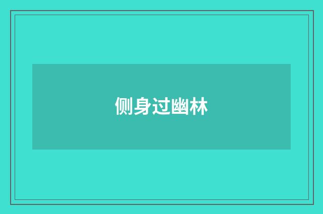 侧身过幽林