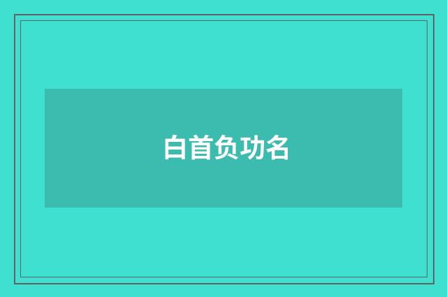 白首负功名