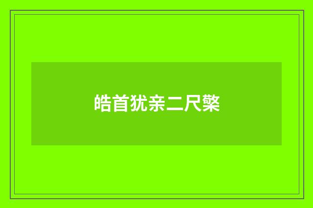 皓首犹亲二尺檠