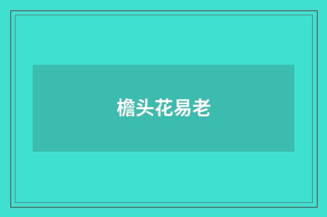 檐头花易老