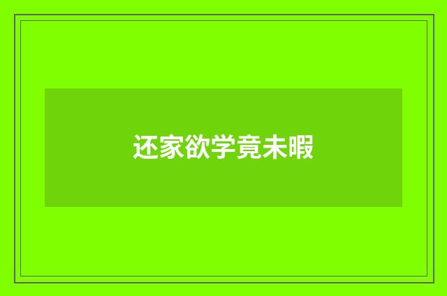 还家欲学竟未暇