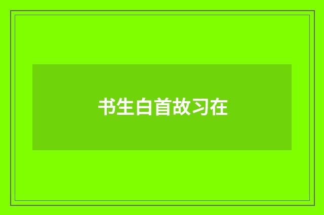 书生白首故习在