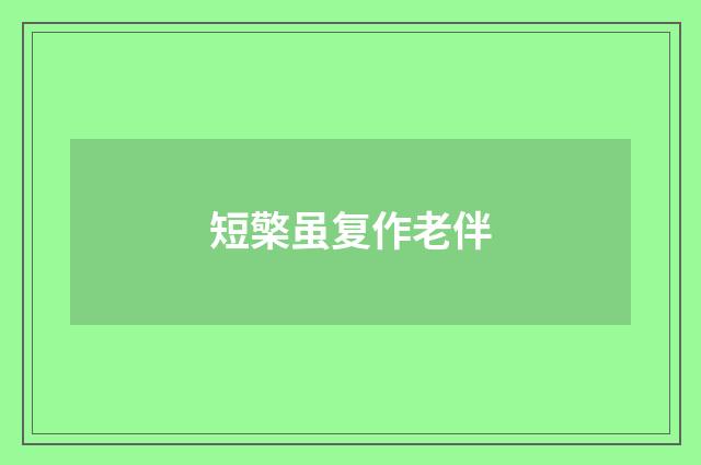 短檠虽复作老伴