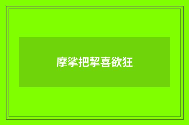 摩挲把挈喜欲狂