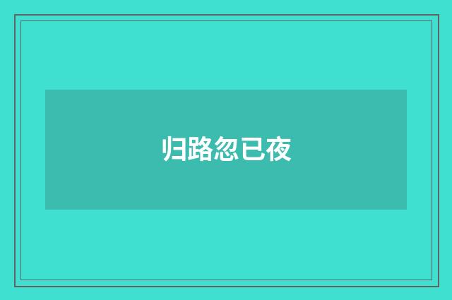 归路忽已夜