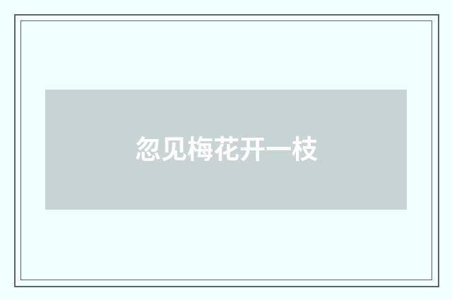 忽见梅花开一枝