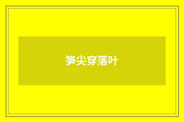 笋尖穿落叶