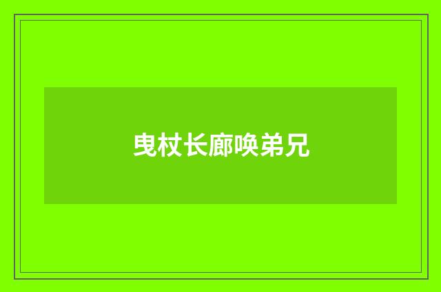 曳杖长廊唤弟兄