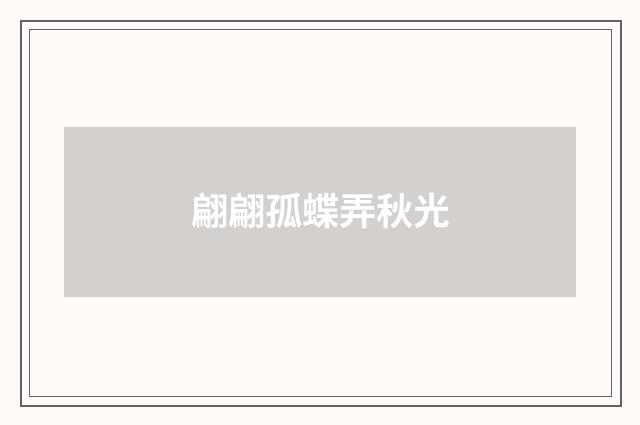 翩翩孤蝶弄秋光