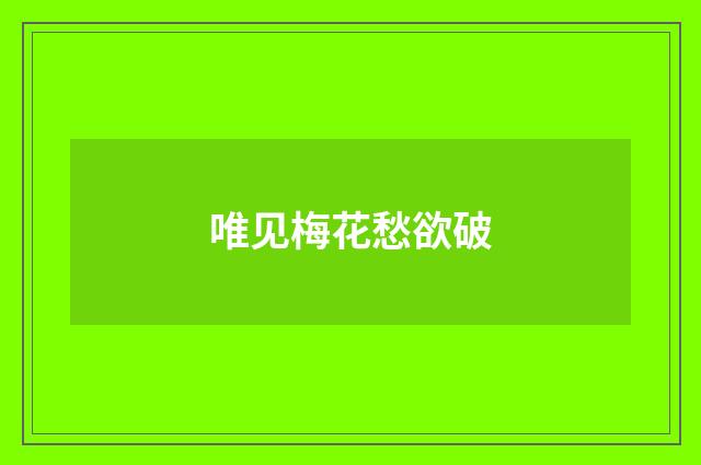 唯见梅花愁欲破