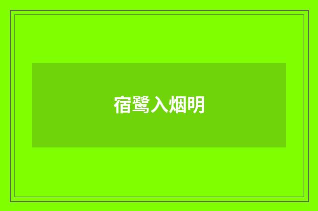 宿鹭入烟明