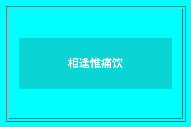 相逢惟痛饮