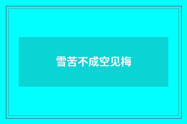 雪苦不成空见梅