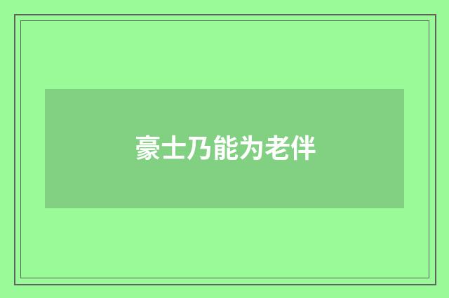 豪士乃能为老伴