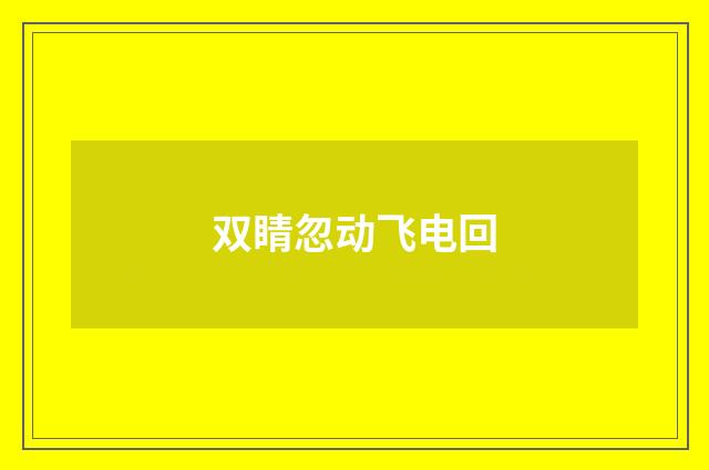 双睛忽动飞电回