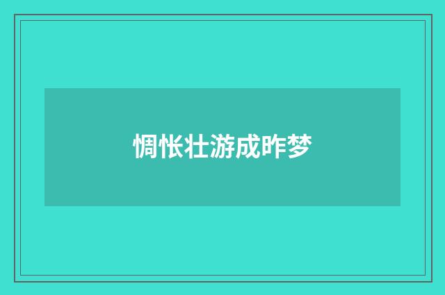 惆怅壮游成昨梦