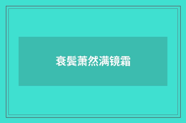 衰鬓萧然满镜霜