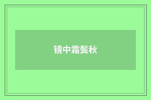镜中霜鬓秋
