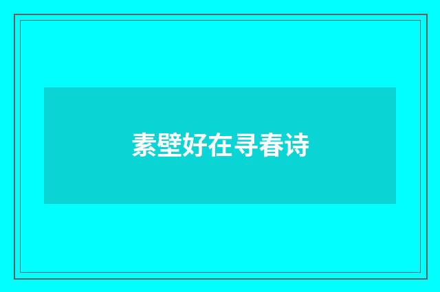 素壁好在寻春诗