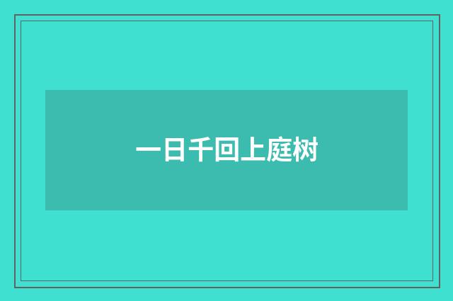 一日千回上庭树