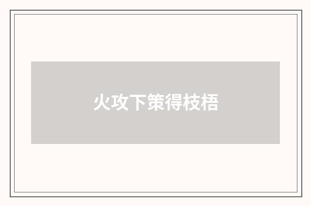 火攻下策得枝梧