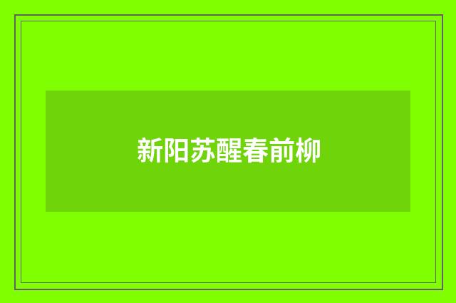 新阳苏醒春前柳