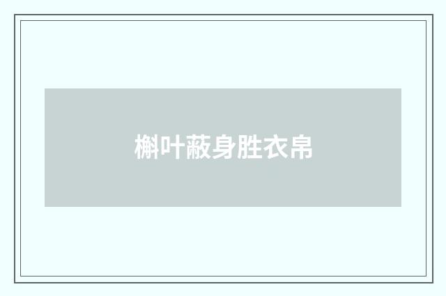 槲叶蔽身胜衣帛