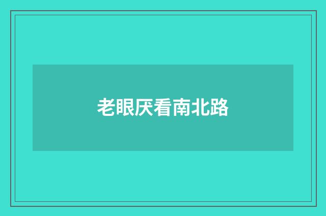老眼厌看南北路