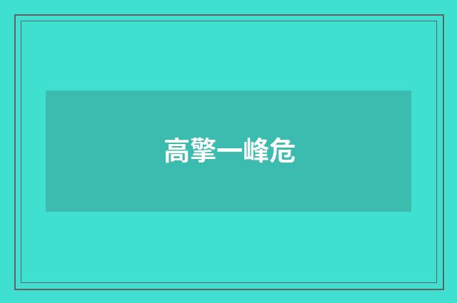 高擎一峰危