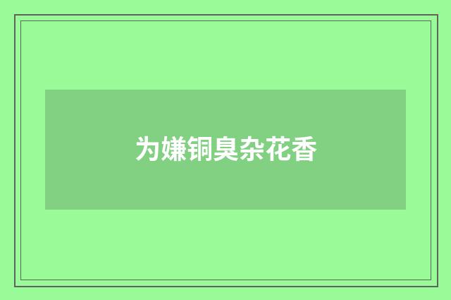 为嫌铜臭杂花香