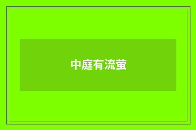 中庭有流萤