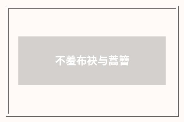 不羞布袂与蒿簪