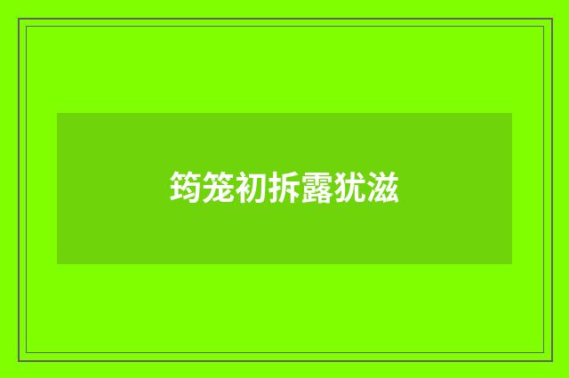 筠笼初拆露犹滋