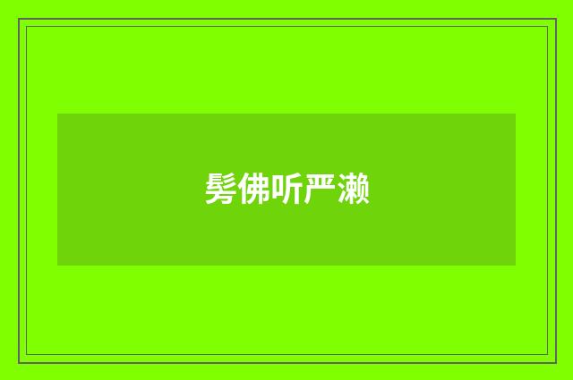 髣佛听严濑