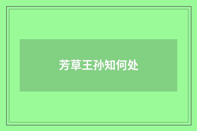 芳草王孙知何处
