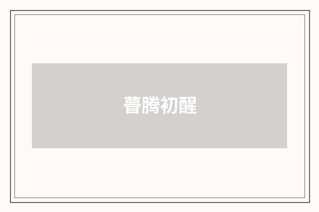 瞢腾初醒