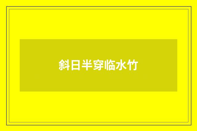 斜日半穿临水竹