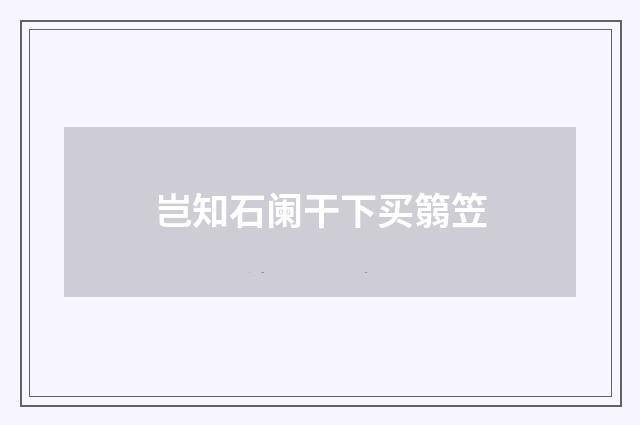 岂知石阑干下买篛笠