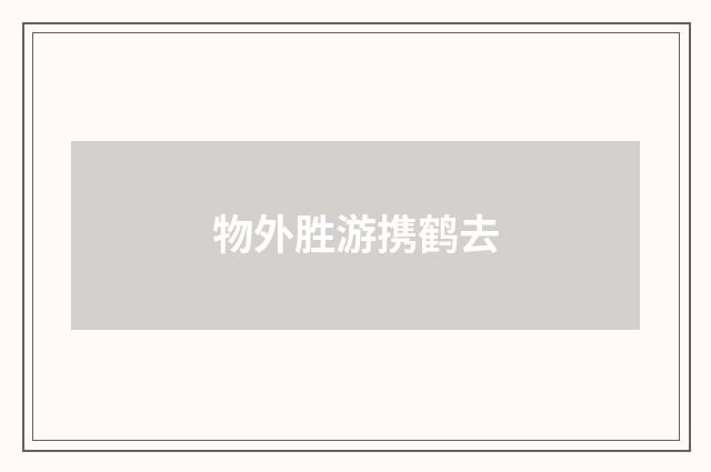 物外胜游携鹤去